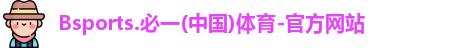 B体育官网